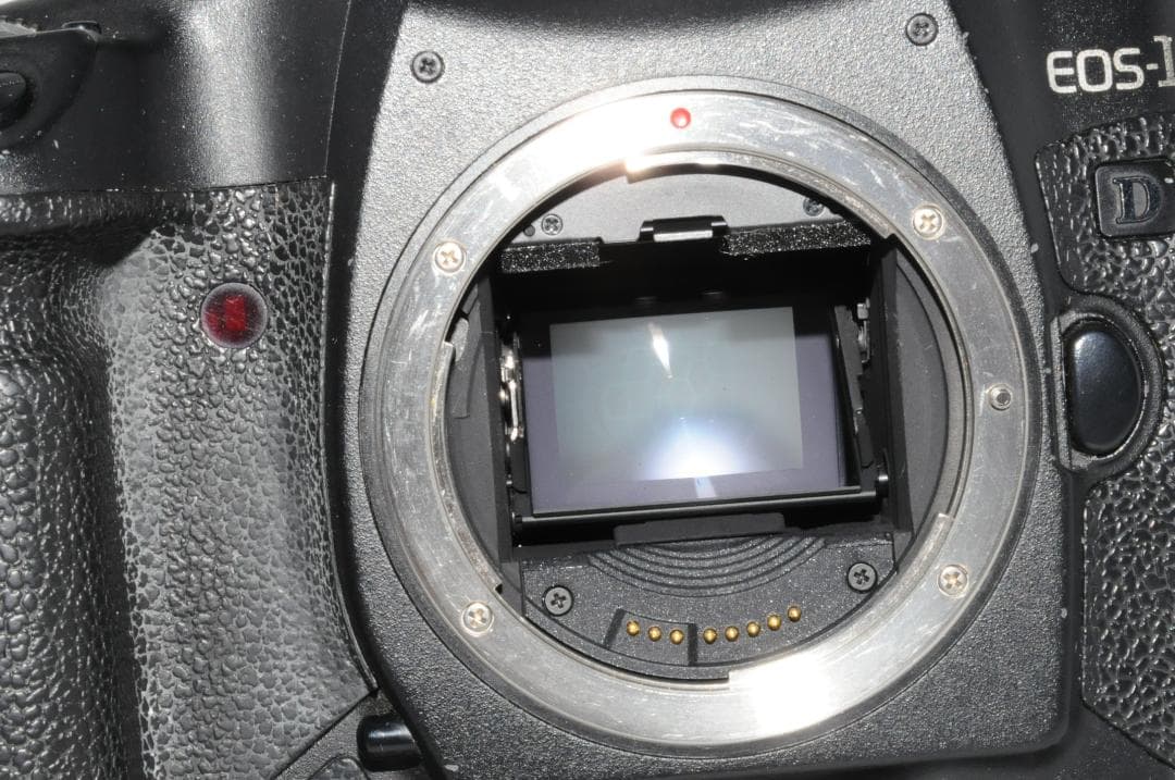 キヤノン EOS-1D MarkⅡ Mark2 ボディ 元箱付き 付属品セット