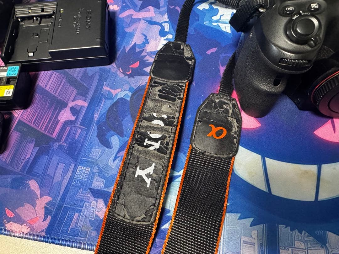 SONY α65 デジタル一眼レフカメラセット