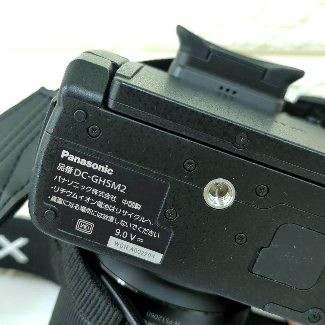 パナソニック ミラーレス一眼カメラ ルミックス GH5M2 レンズキット 高倍率