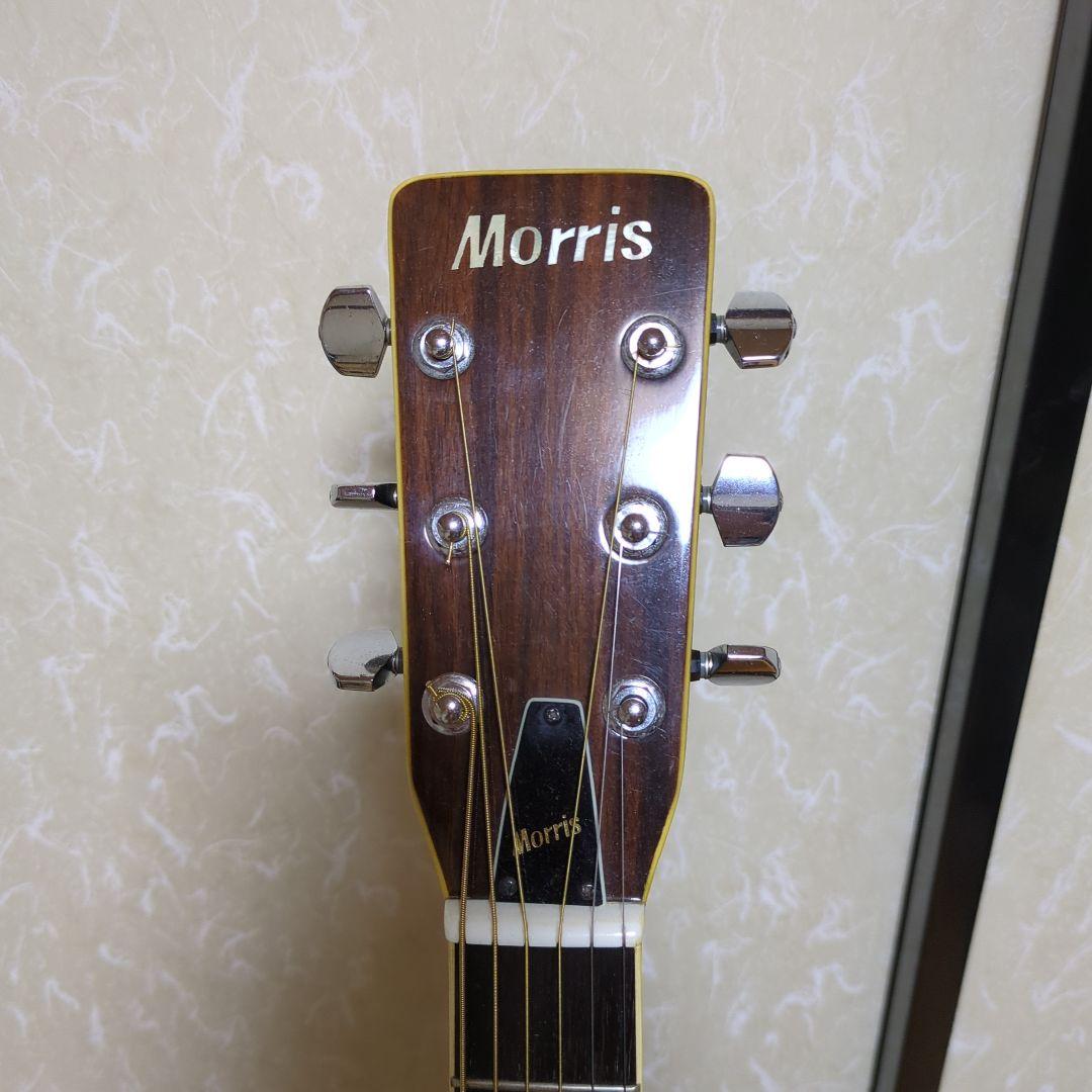 Morris アコースティックギター ドレッドノート エレア