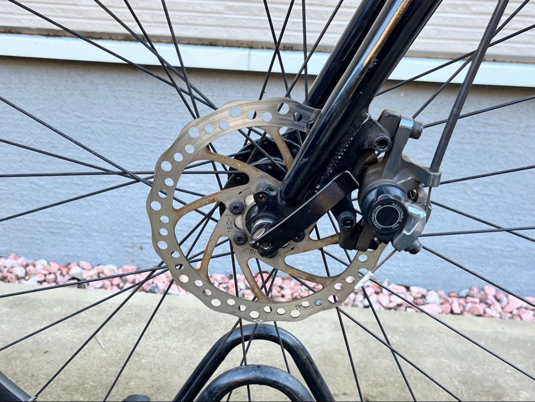 フジ フェザー CX＋/ Fuji Feather cx+ 54 2022