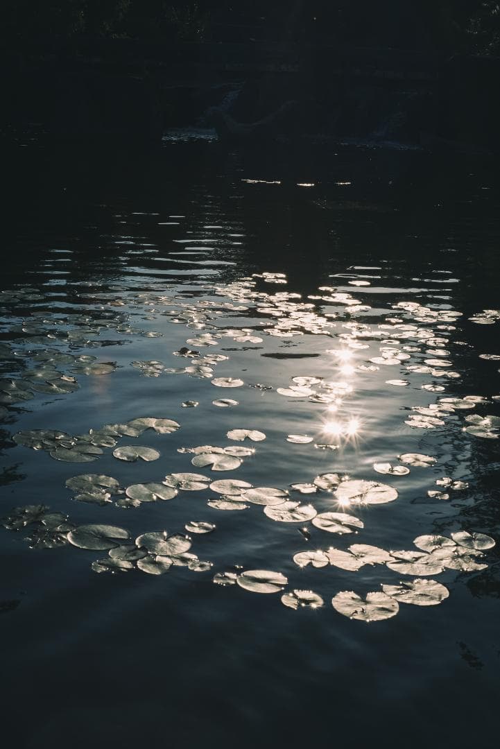 国産！華やかエアリー 小西六 HEXAR 50mm F3.5 オールドレンズ