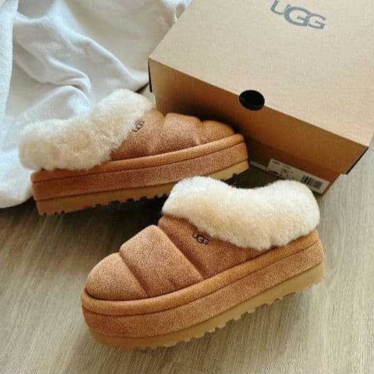 UGG アグ　Tazzlita　タズリータ チェスナット 22cm 厚底 新品