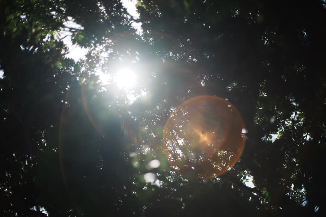 【美品】動作◎ SMC Takumar 50mm F1.4 オールドレンズ 21