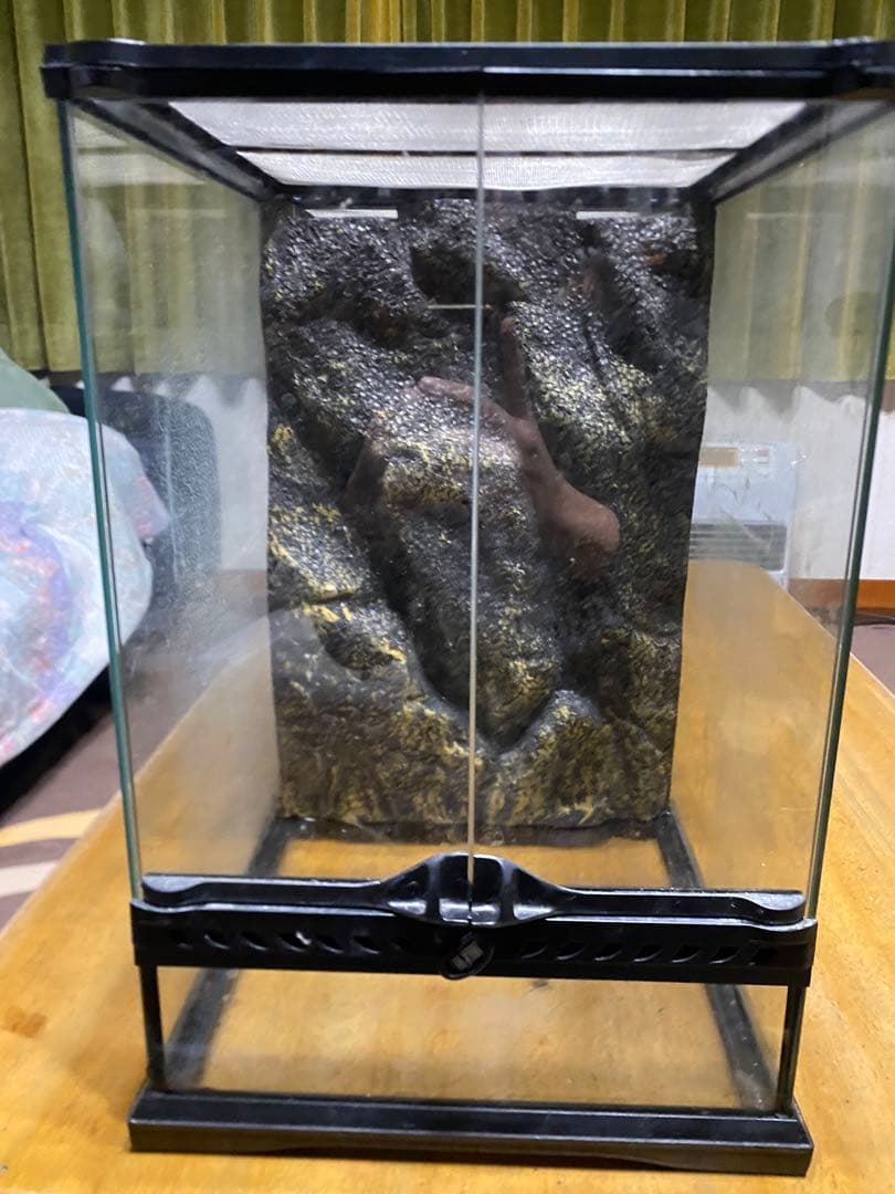 「引取り限定」爬虫類ケージまとめ売り　グラステラリウム アステカキット
