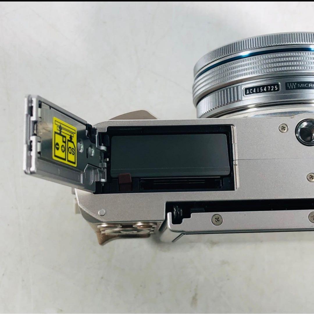 オリンパス OLYMPUS PEN E-PL9 ミラーレス一眼カメラ