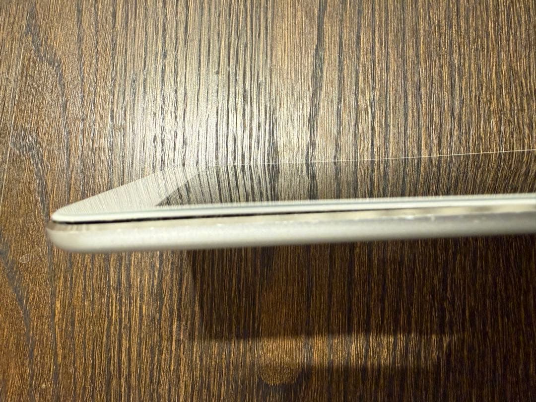 Apple iPad mini4シルバー 本体とアクセス等