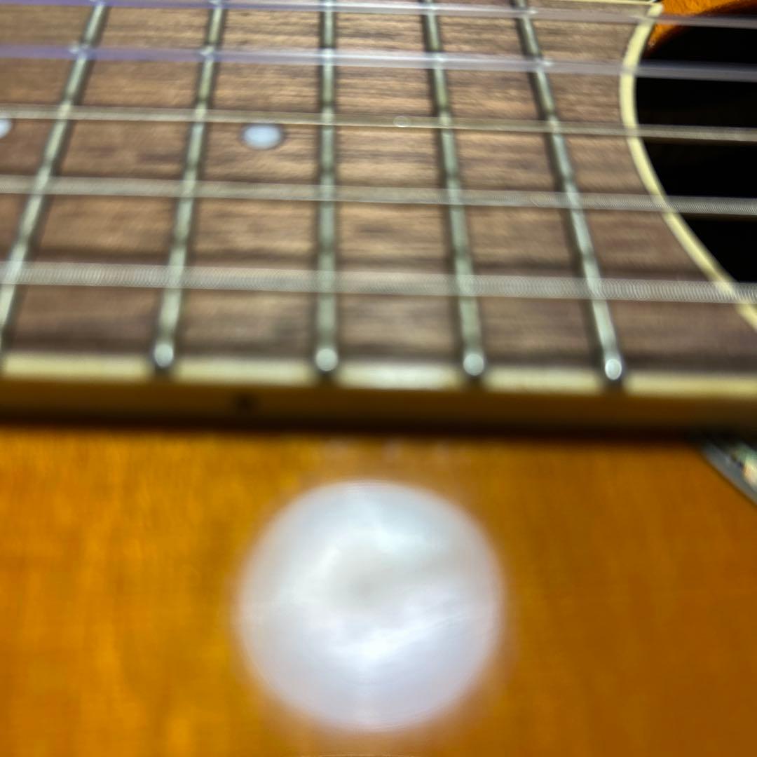 ハードケース付 Ibanez アイバニーズ AEG10NII-TNG エレガット