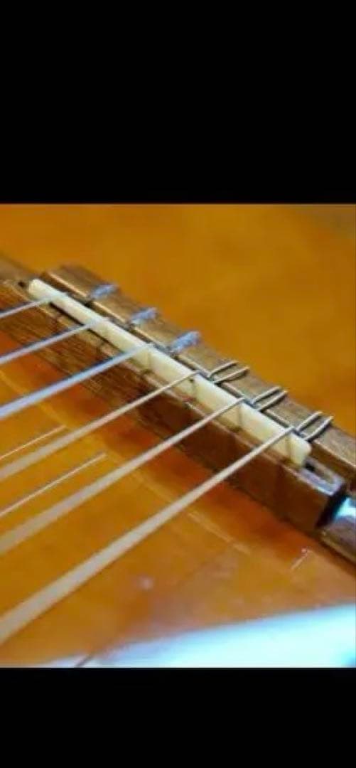 ハードケース付 Ibanez アイバニーズ AEG10NII-TNG エレガット