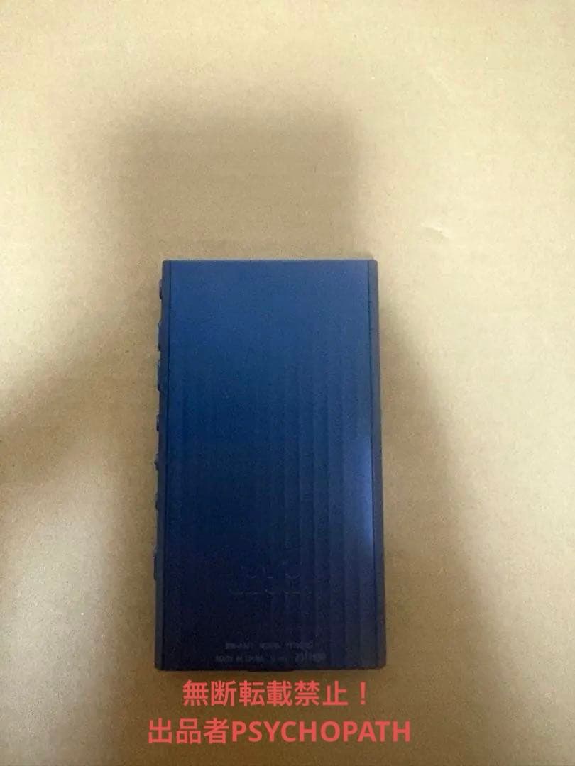 SONY NW-A307 64GB フィルム・SanDisk SD256GB付