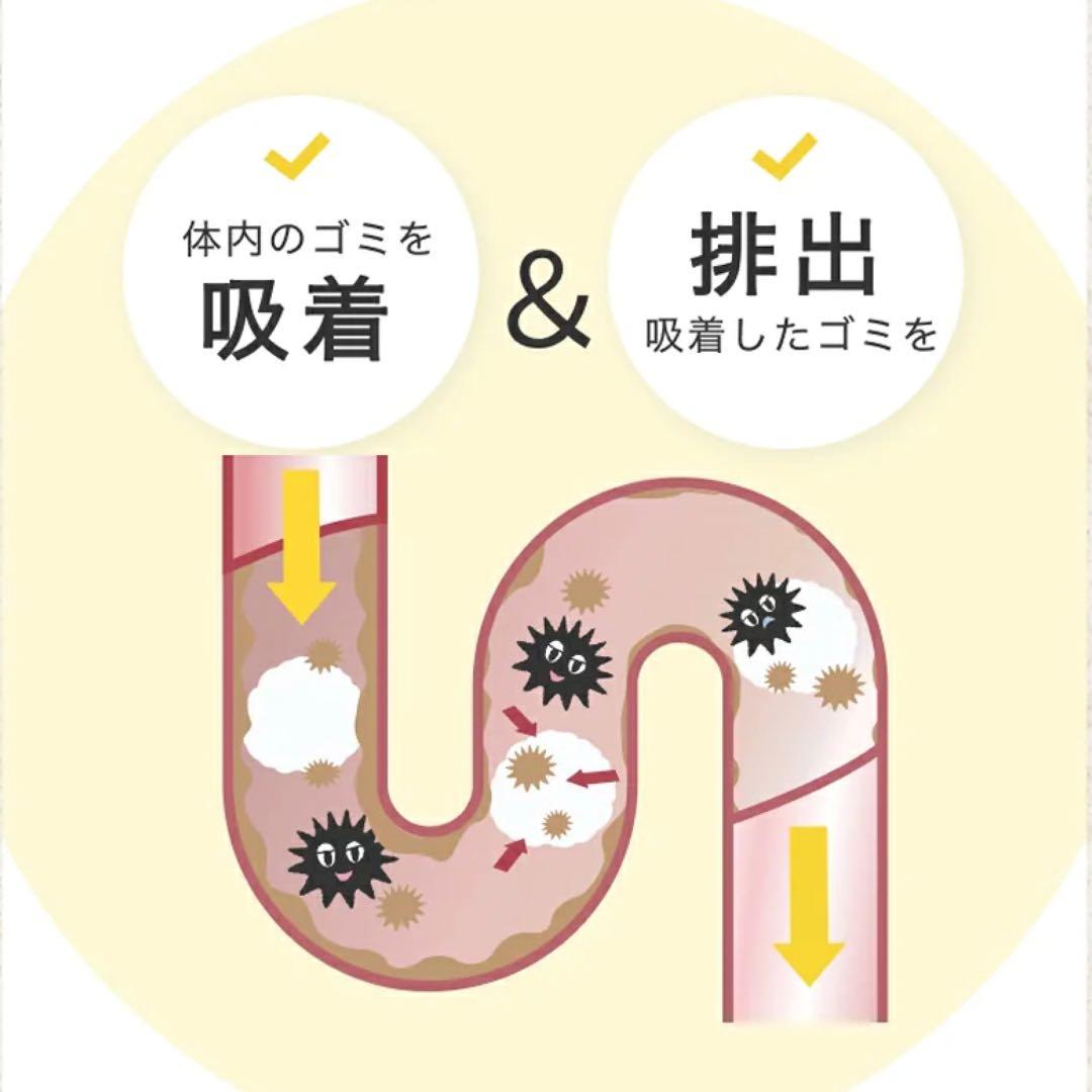 コージーミルク カラダシルク in 腎臓　低リン　低タンパク　脂質ゼロ　甘酒