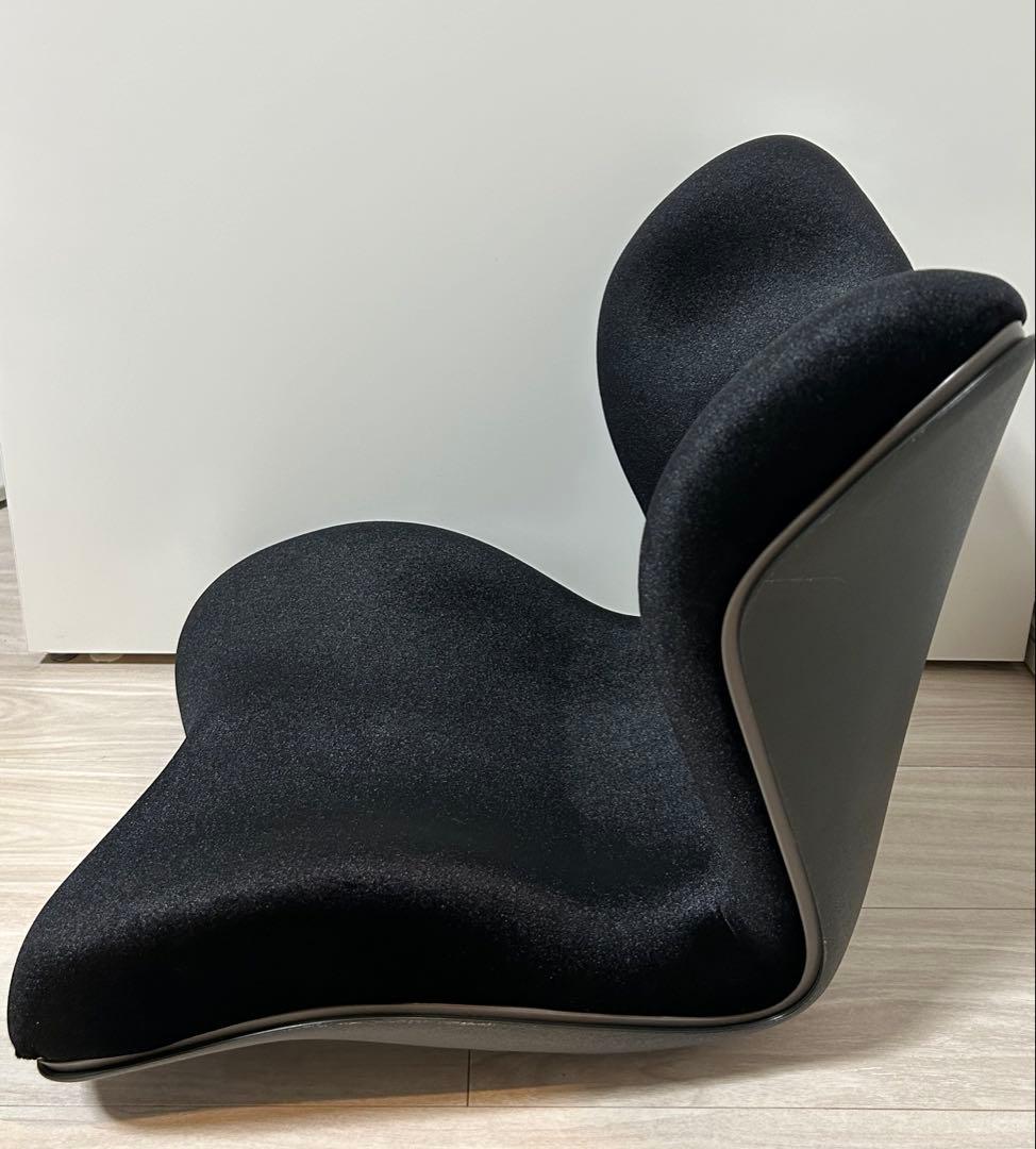 Style PREMIUM DX リッチブラック