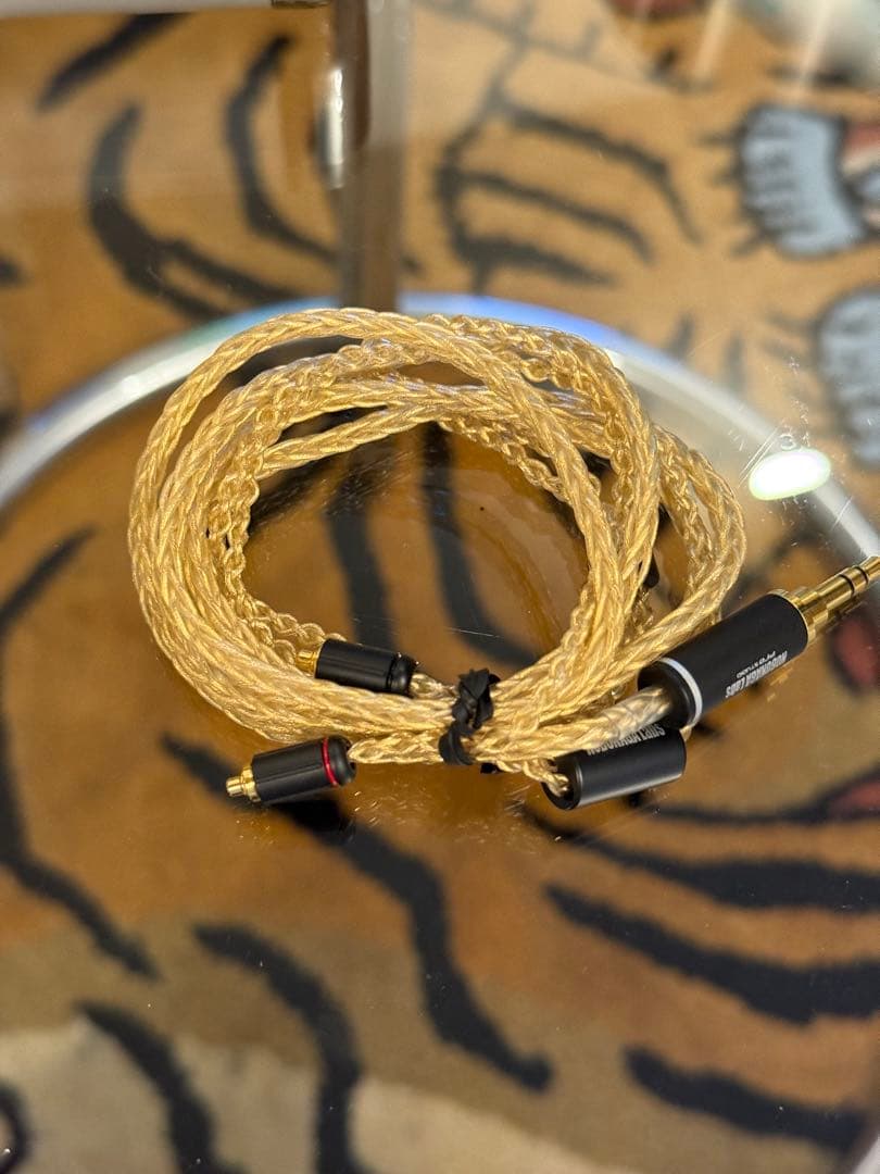 アコースチューンHS1670SS ノブナガ　ケーブル　TYPE-C切り替え付き