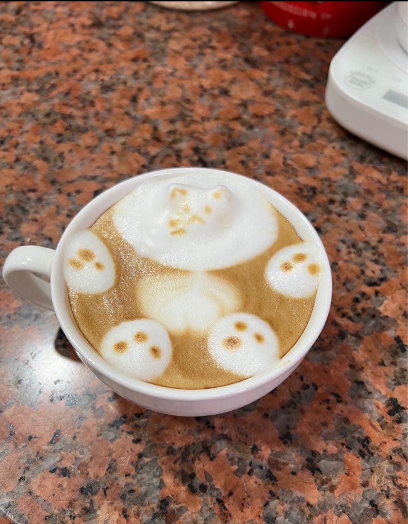 中古エスプレッソマシン Breville BES870XL/B