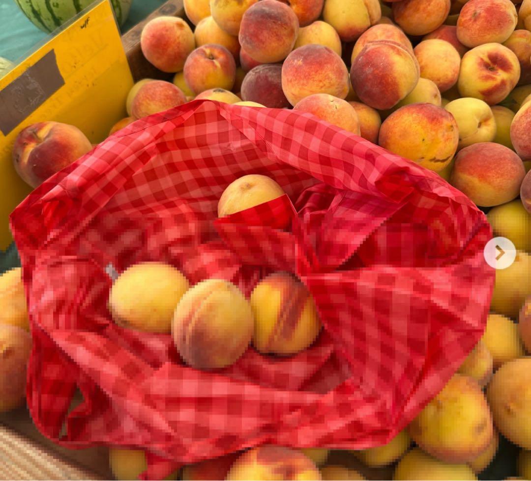 Molly Goddard エコバッグ 3個セット+巾着つき