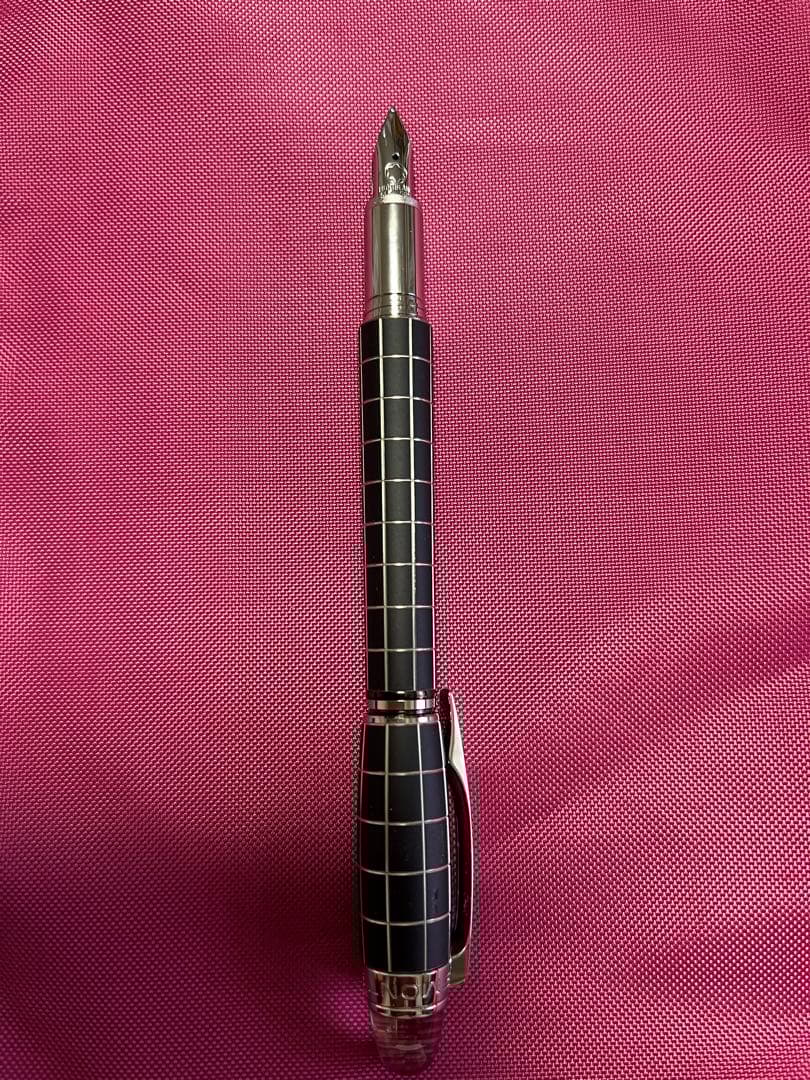 Rosa eyes モンブラン　スターウォーカー　メタルラバー万年筆