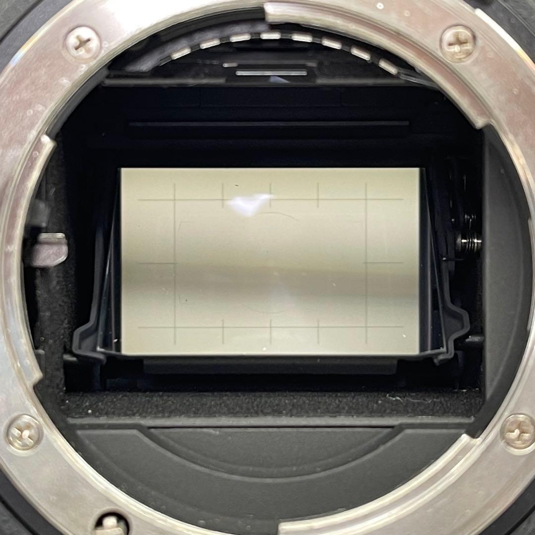 Nikon D5 デジタル一眼レフカメラ 本体　ジャンクです