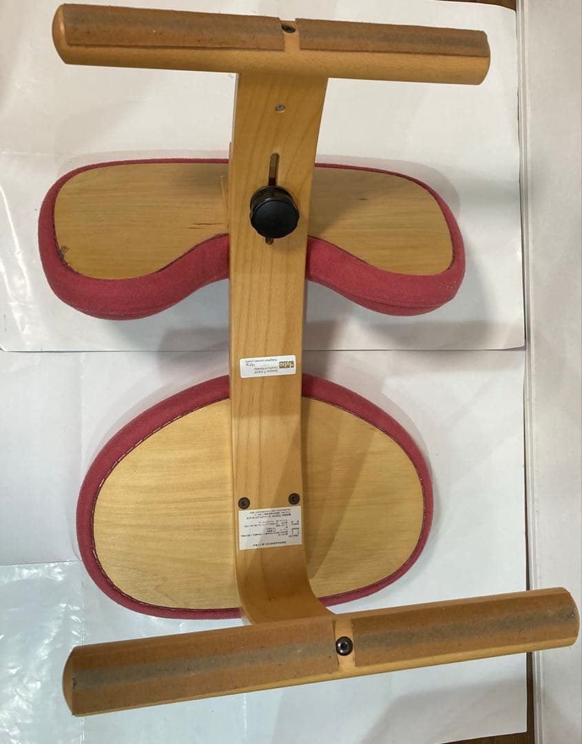 バランスイージー Rybo ピンク balans EASY チェア　カバー付き