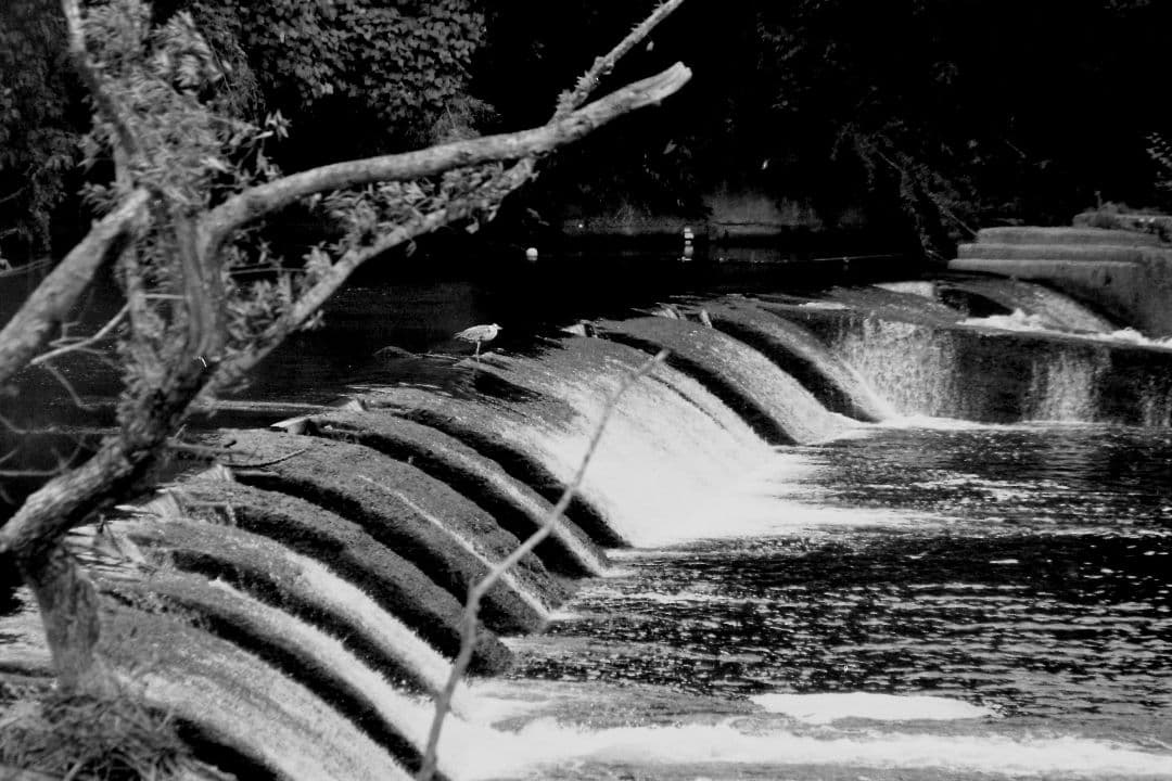 ニコン　Nikon F5 完動品