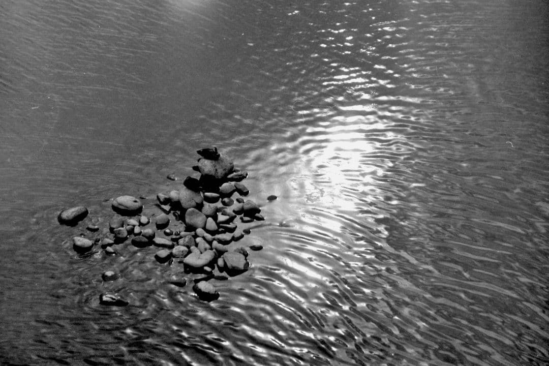 ニコン　Nikon F5 完動品