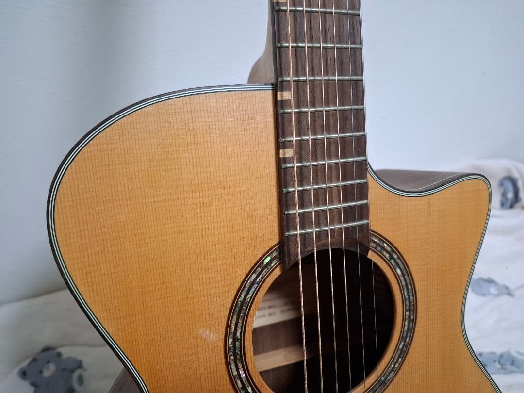 （専用）アコースティックギター　ROSSO R-5 IS18982909