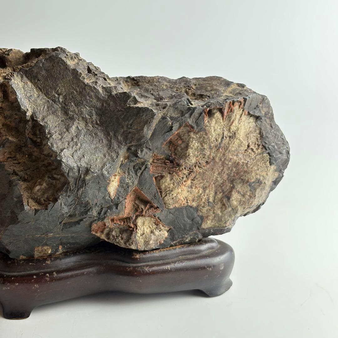 古美術 菊花石 飾石 天然石 盆石 鑑賞石