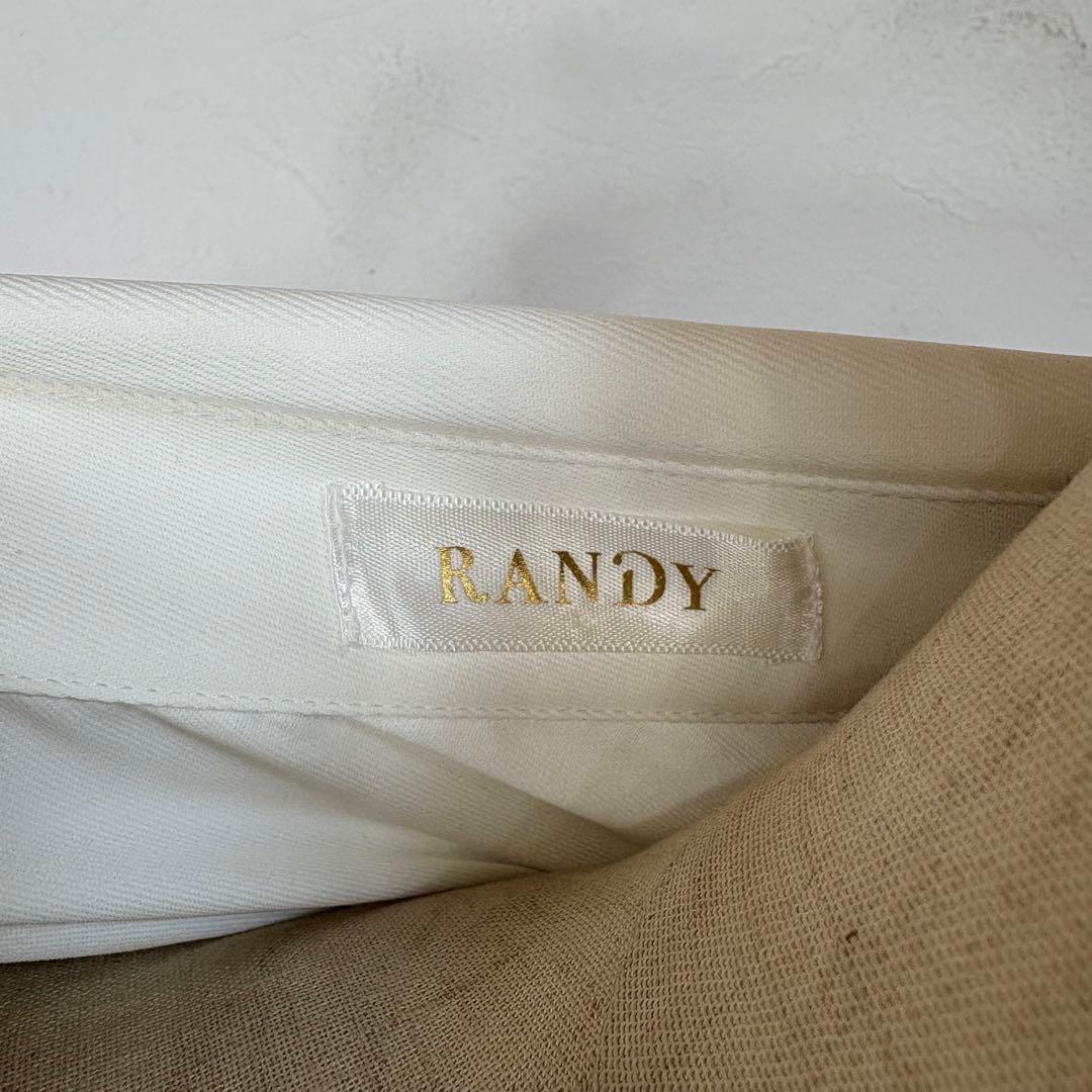 20 美品　RANDY プリーツ　ワンピース　骨格ウェーブ　参戦服