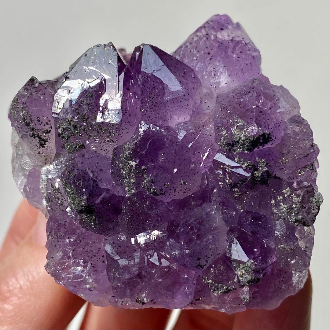 ヤシの実様　お受け取りまでのご確認用ページ