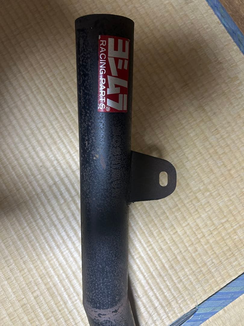 レオちん