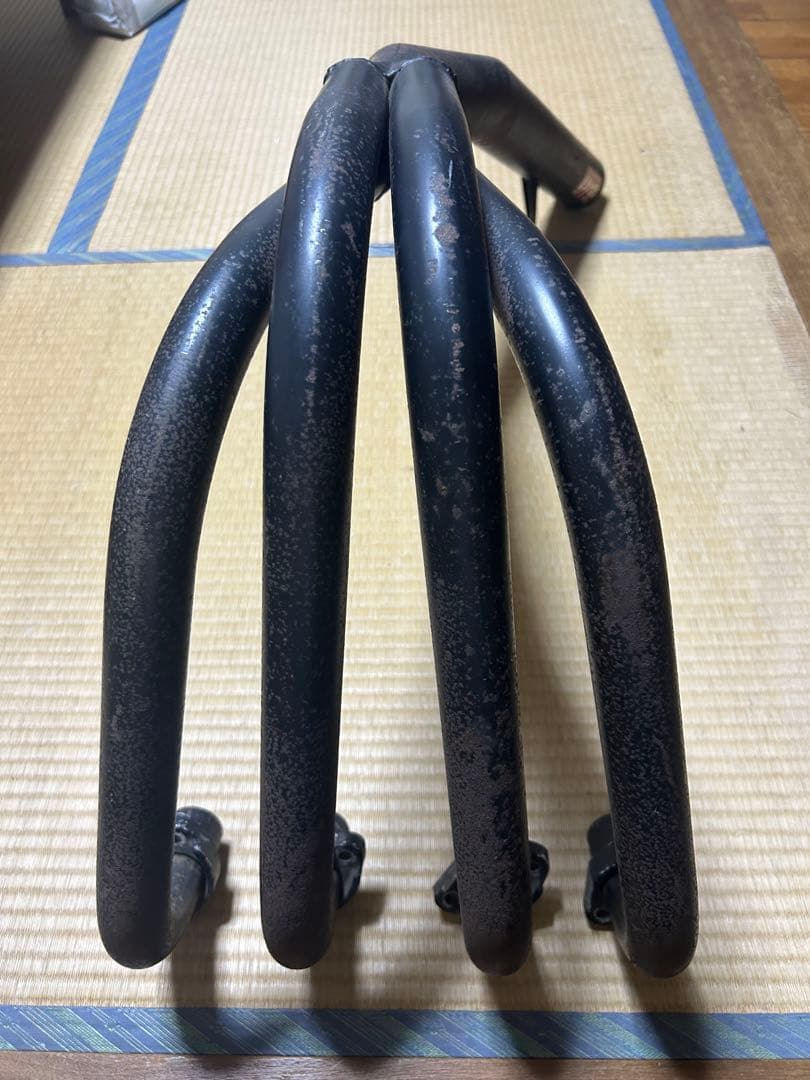 レオちん