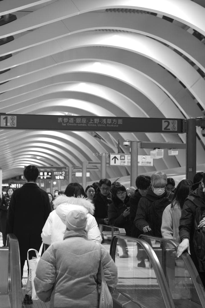 無色透明訳あり！PENTAX Super-Takumar 55mm f1.8