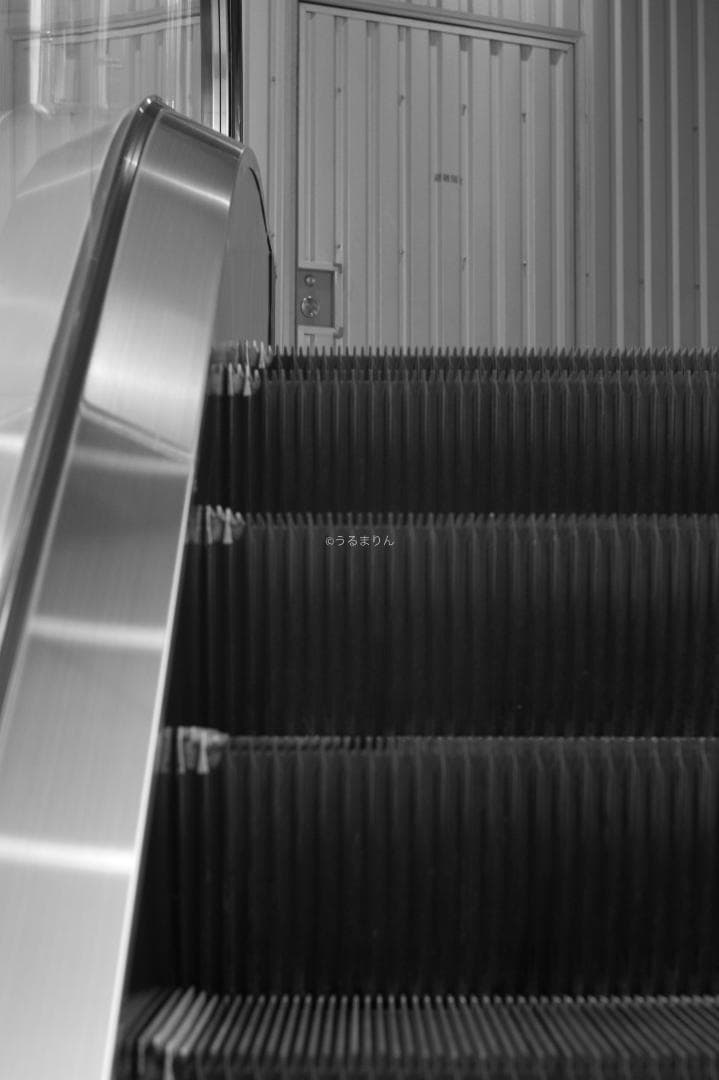 無色透明訳あり！PENTAX Super-Takumar 55mm f1.8