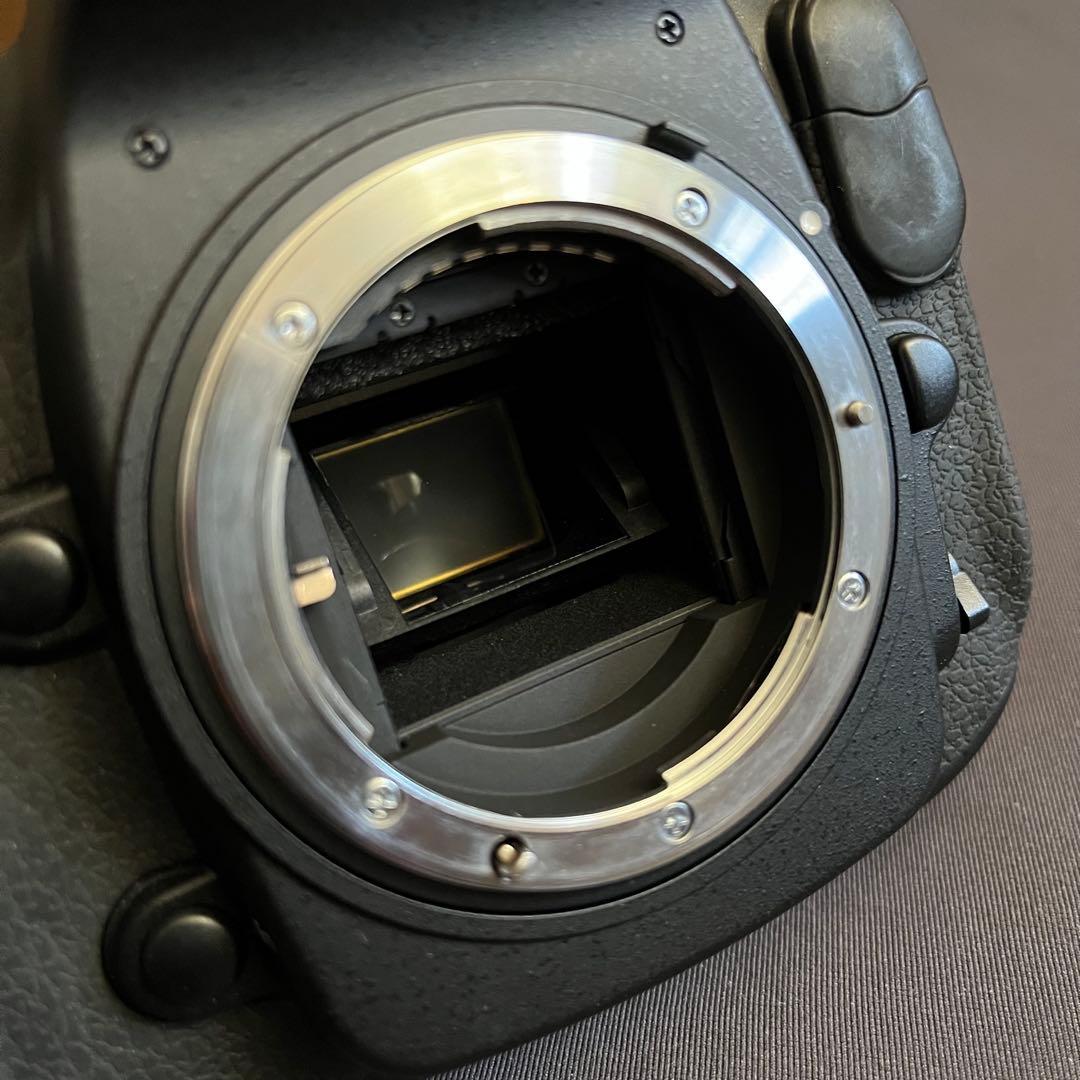 最終値下げ、3日までNikon D300s デジタル一眼レフカメラ