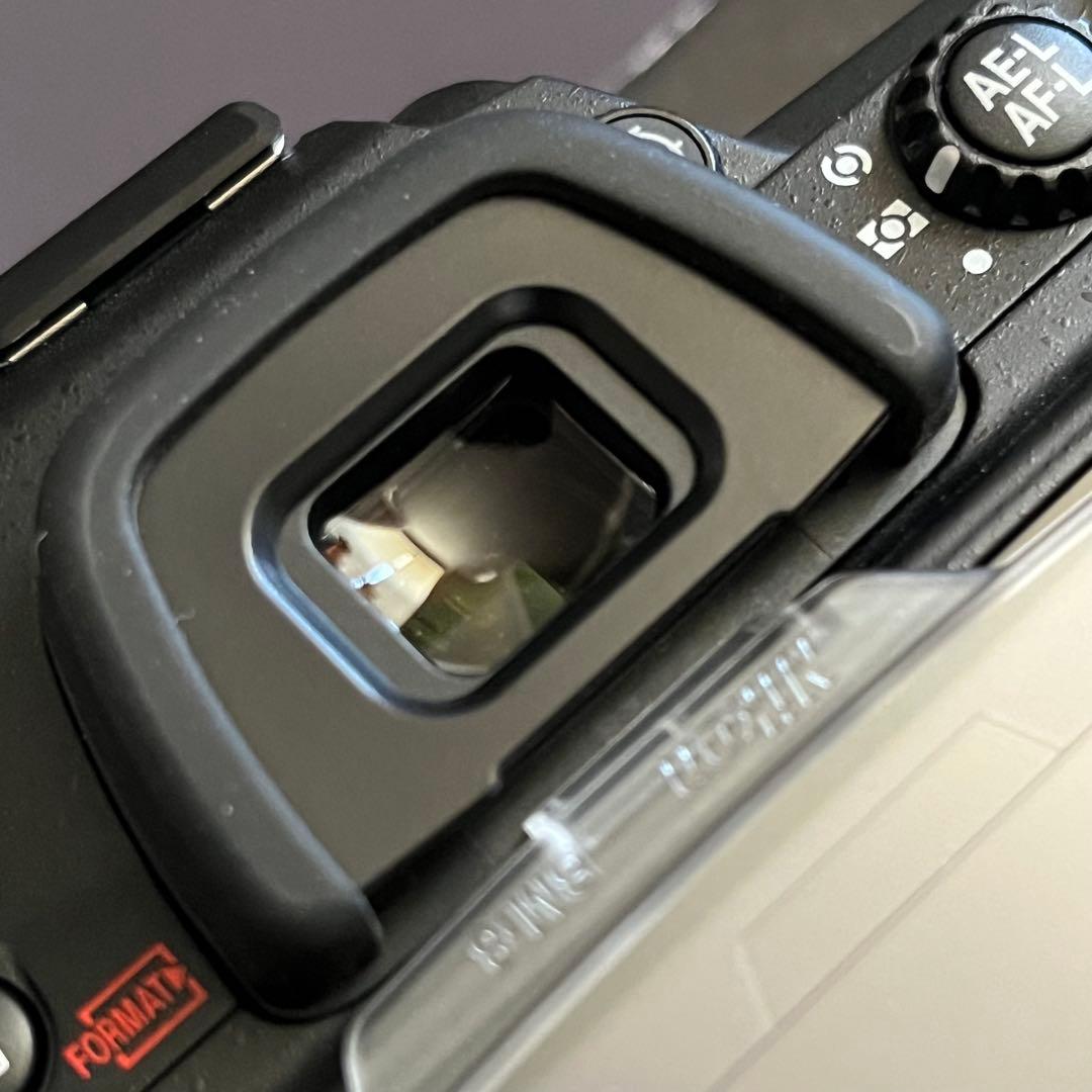 最終値下げ、3日までNikon D300s デジタル一眼レフカメラ