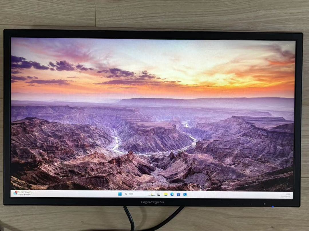 ゲーミングモニター ギガクリスタ EX-LDGC242HTB