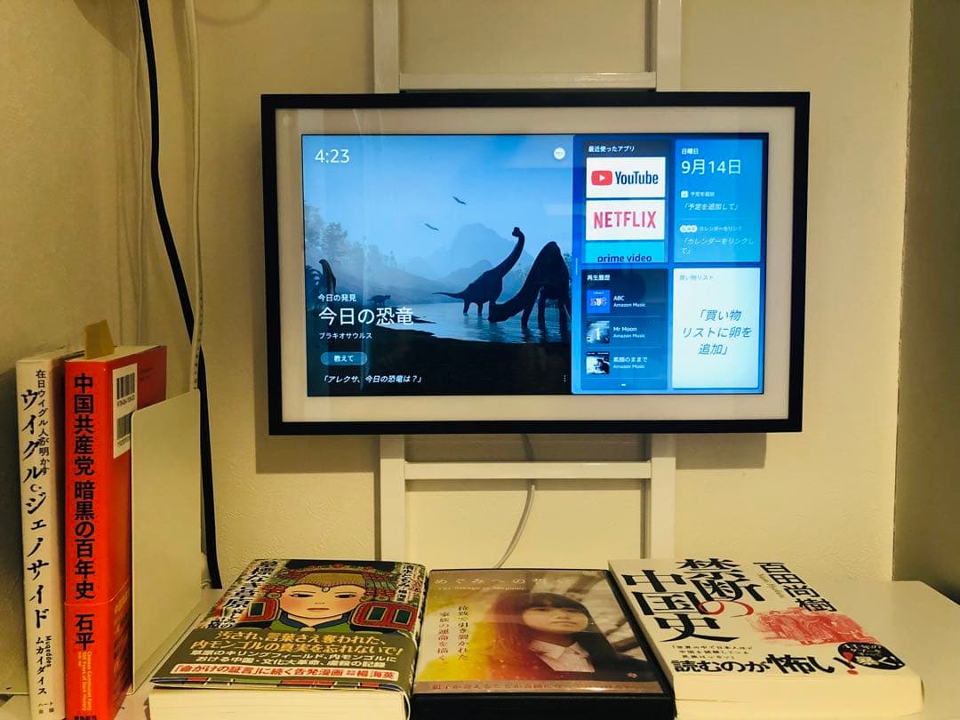 ⚠️期間限定値下げ　Amazon Echo Show 15 Alexa 第一世代