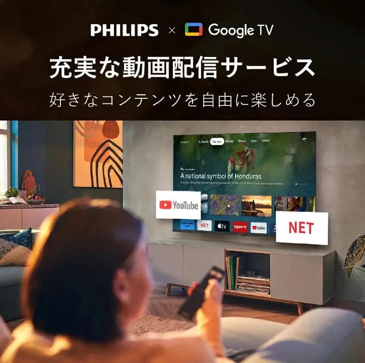 【過去最大割引！ 】PHILIPS チューナーレステレビ PUH7169 50型