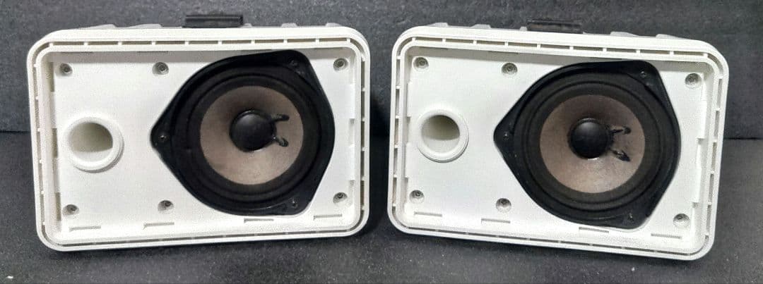 BOSE ボーズ スピーカー 101MMW 天吊り ペア 　ブルーネット