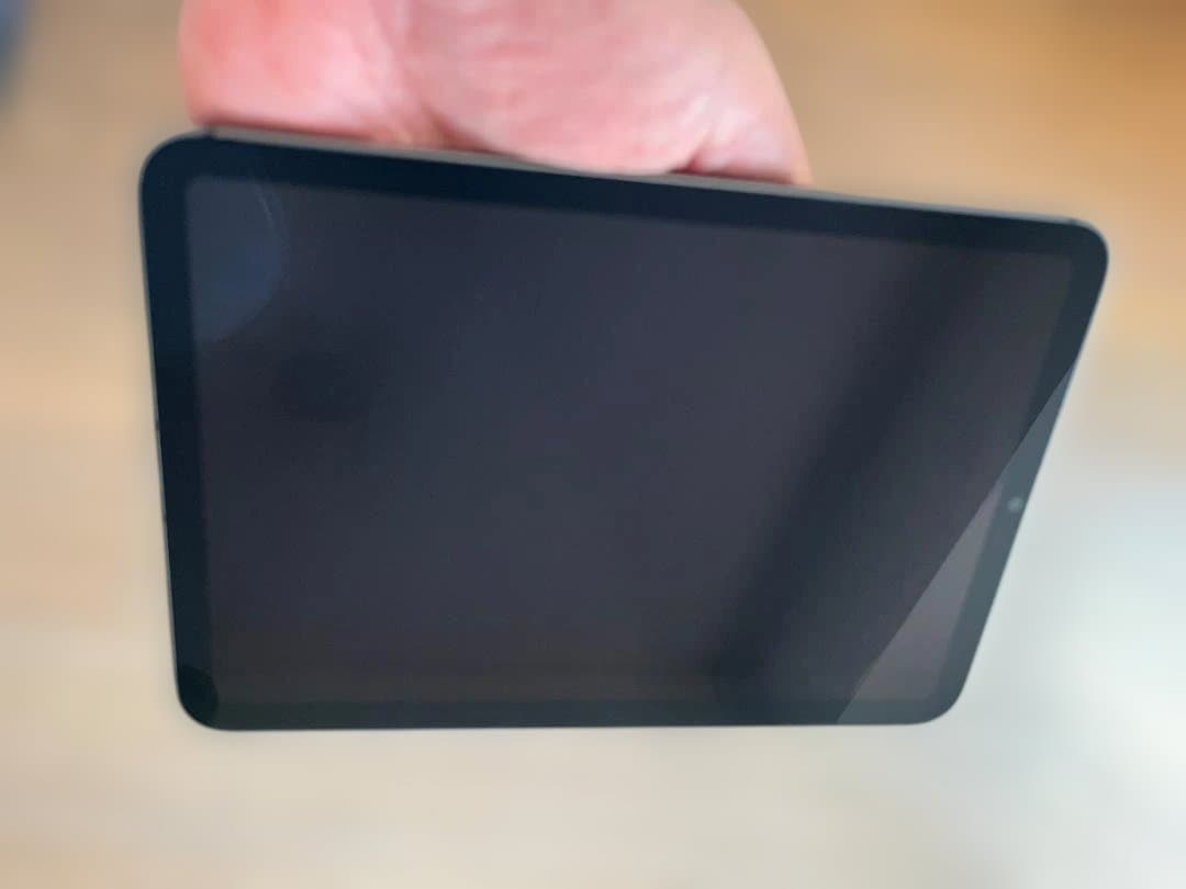 iPad mini 6 Wi-Fi + Cellular 64GB（ジャンク品）