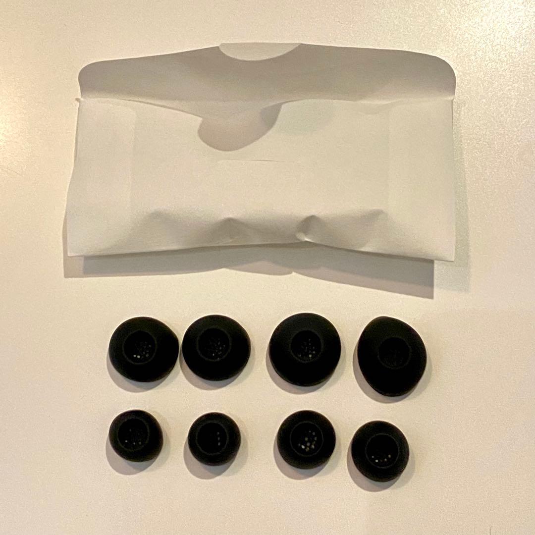 ぱるさん専用 MOMENTUM True Wireless 4 ブラック