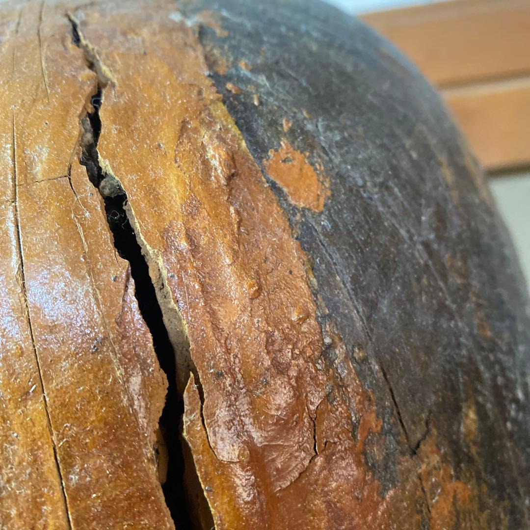 達磨の型29cm28cm25cmA-30