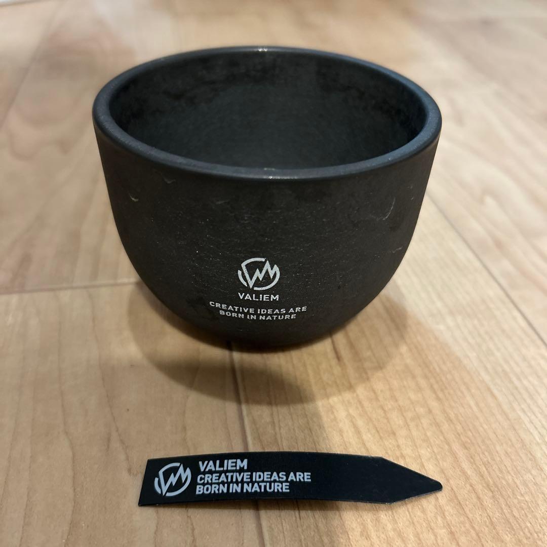 VALIEM インビジブルインク Sサイズ