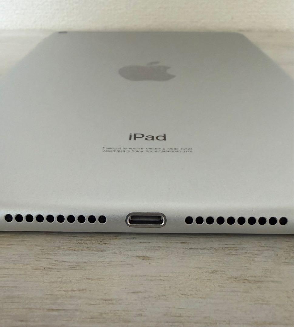 iPad mini 第5世代 cellular セルラー ApplePencil