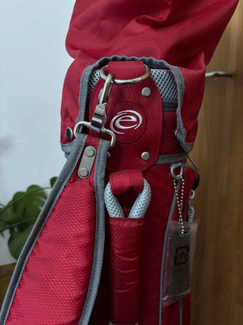 MIZUNO キャディバッグ ゴルフバッグ 軽量 フード付き