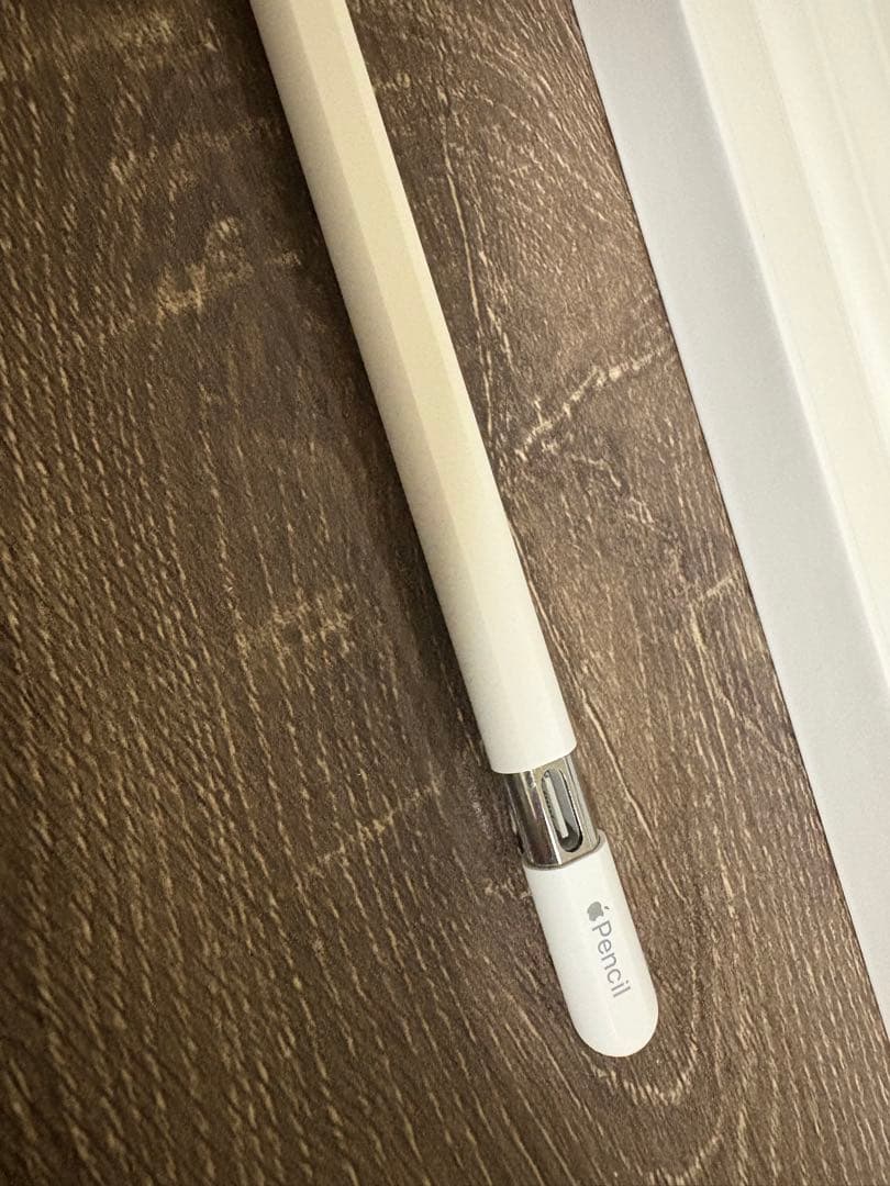 純正　Apple pencil usb-c