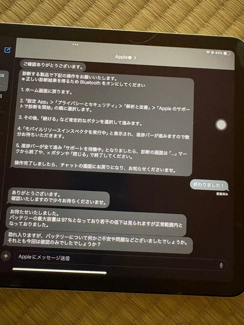 【最終値下げ】iPad Air4本体 256GB