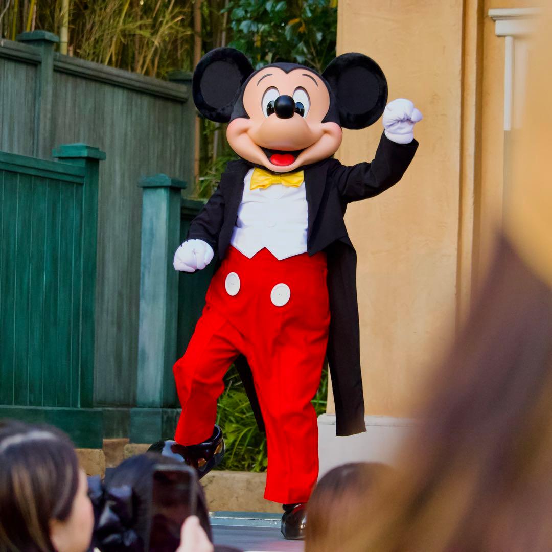 【作例あり】Canon EF-S55-250mm F4-5.6 IS STM