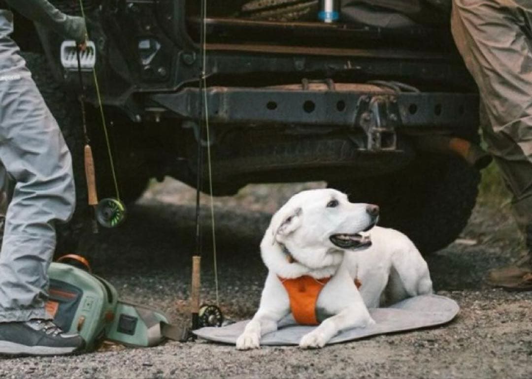 ラフウェア ハイランズ パッド Ruffwear Highlands M