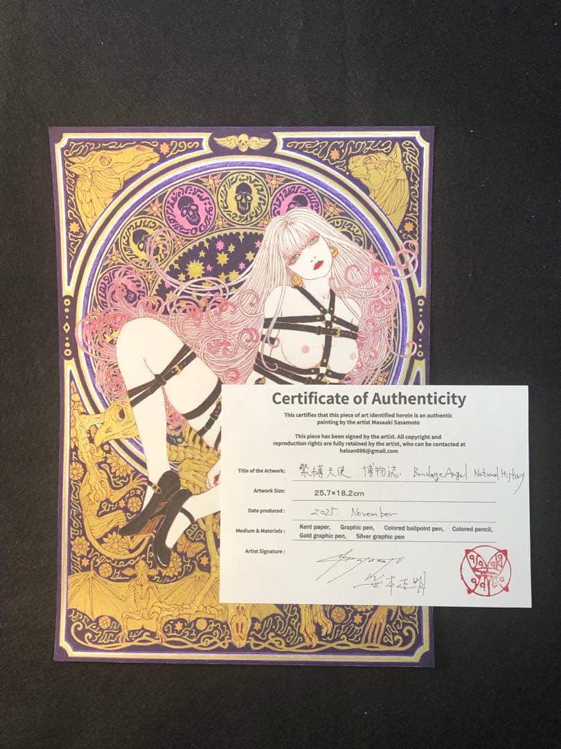 緊縛天使　博物誌　Bondage angel Natural history