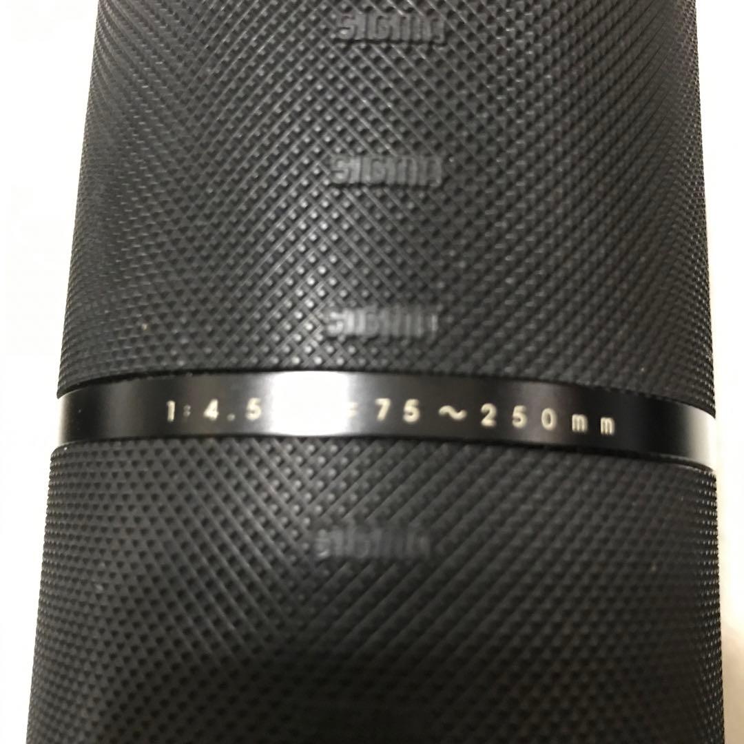 p*n様 Canon F1 フィルム一眼レフカメラ